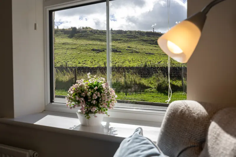 Window view over the green hillside